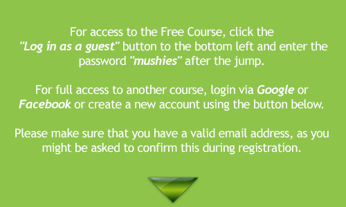 Follow these instructions to login