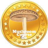 Mushroom identification Oz