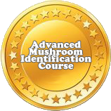 Advanced online mushroom course