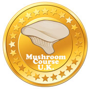 mushroom identifier uk