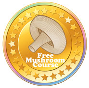 Free mushroom Course
