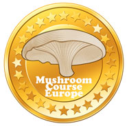 Mushroom Course