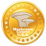 USA Mushrooms