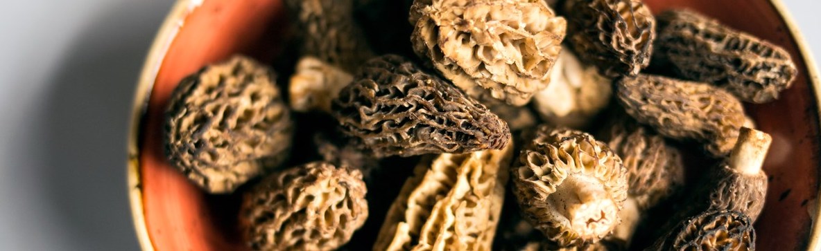 How to store morels