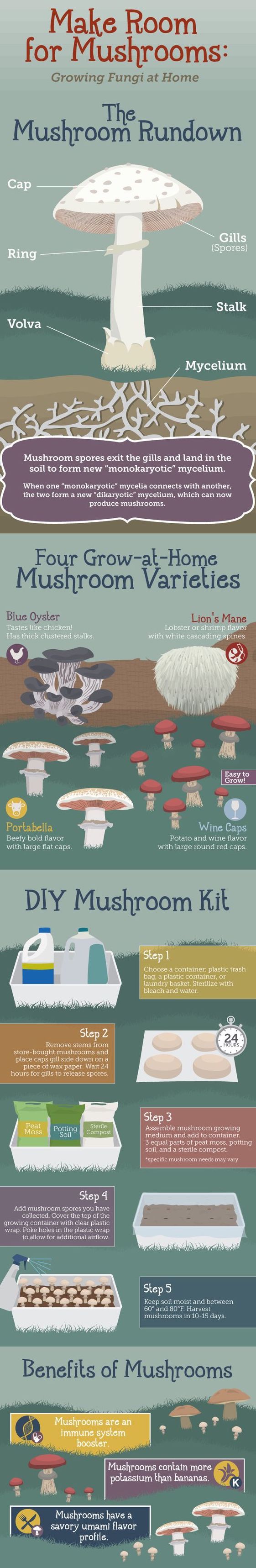 Grow mushrooms course online